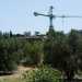 La ditta di costruzioni proprietaria della villa voleva trasformare la residenza in una casa di riposo per anziani ma il progetto  stato interrotto. Permangono per ancora oggi gru e impalcature_ ma i lavori non proseguono